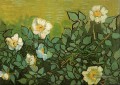 Wilde Rosen Vincent van Gogh